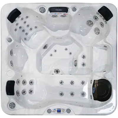 Avalon EC-849L hot tubs for sale in Rapid City