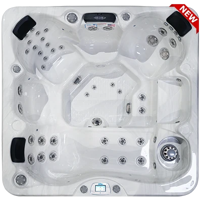 Avalon-X EC-849LX hot tubs for sale in Rapid City