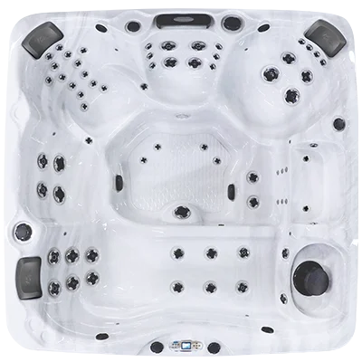 Avalon EC-867L hot tubs for sale in Rapid City