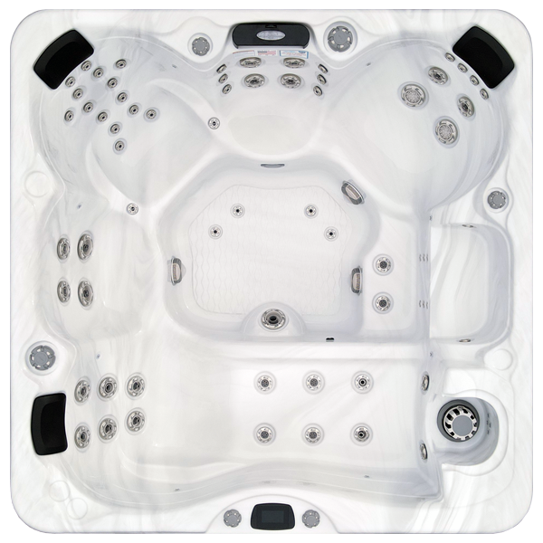 Avalon-X EC-867LX hot tubs for sale in Rapid City